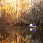 Day Tripping to Canton and Caddo Lake