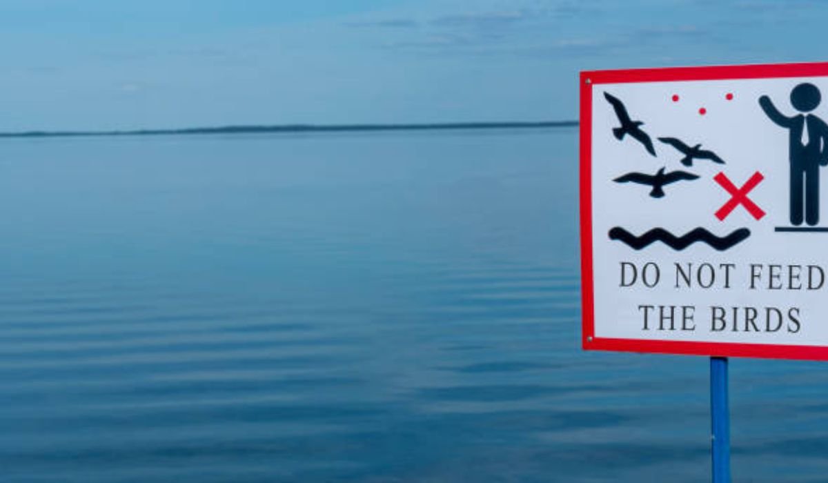 Lake Texoma Should Be Capitalized